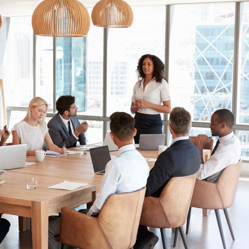 Stakeholder Engagement Mastery