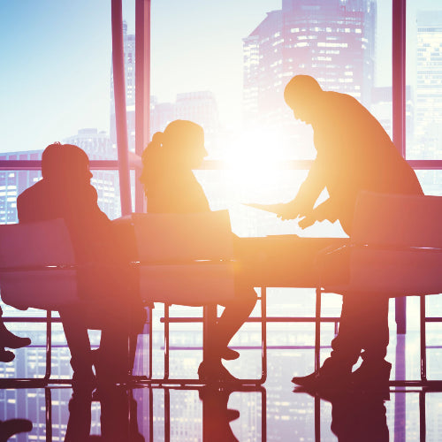 Program Governance Essentials